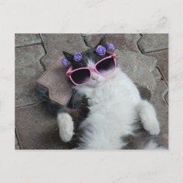Cartão Postal Feline Diva