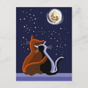 Cartão Postal Felinos