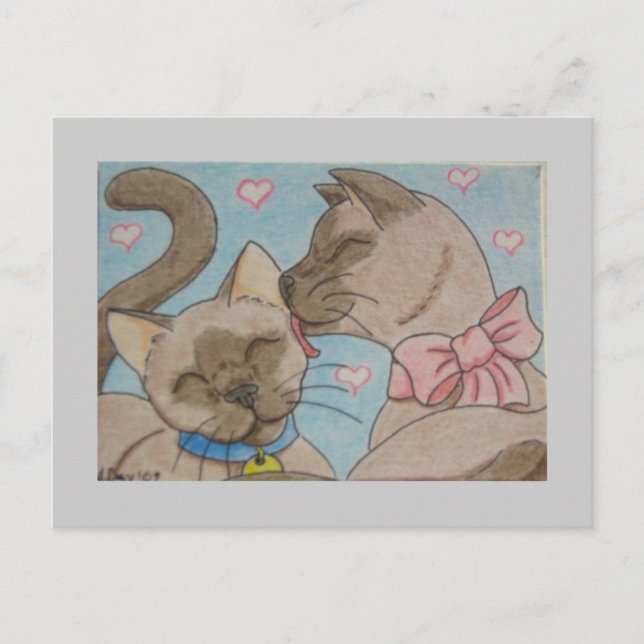 Cartão Postal Felinos (Frente)