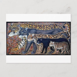 Cartão Postal Felinos da Costa Rica - Gatos grandes