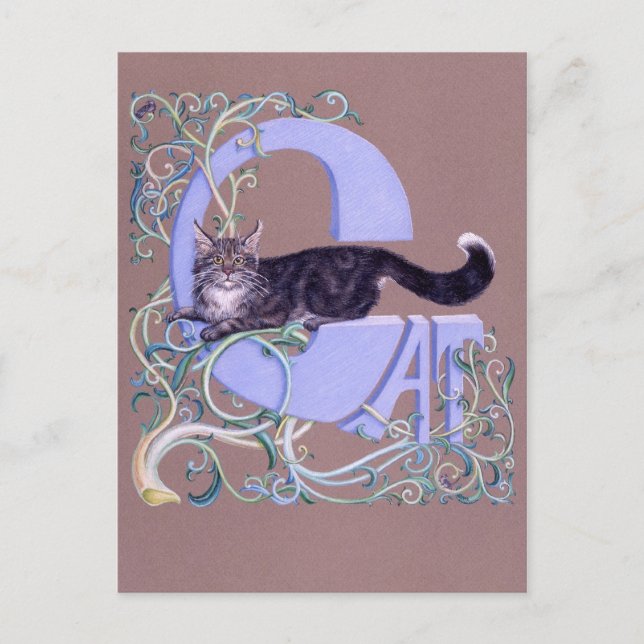 Cartão Postal Felis Illumines (Frente)