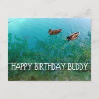 feliz amigo de aniversário (dois patos)