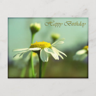 Cartão Postal Feliz aniversário