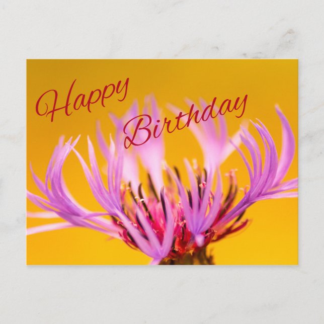 Cartão Postal Feliz aniversário! (Frente)