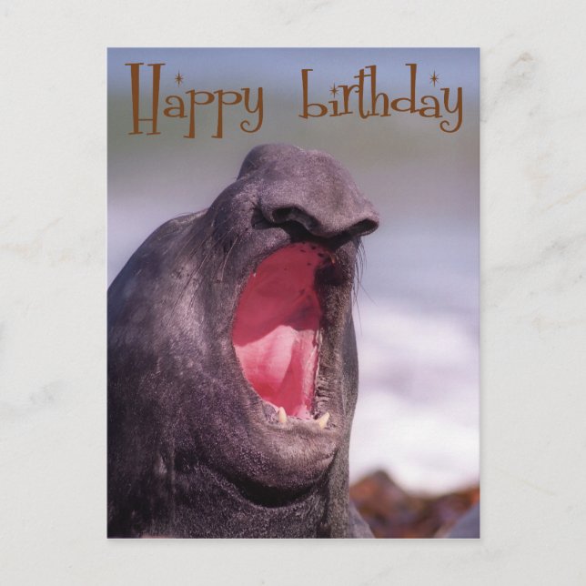 Cartão Postal feliz aniversário (Frente)