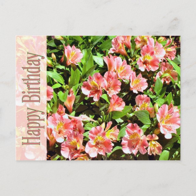 Cartão Postal feliz aniversário (Frente)