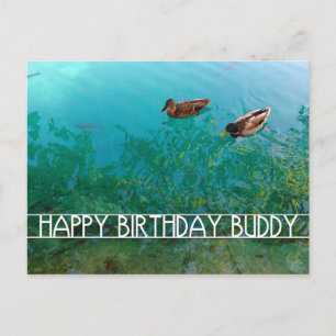 Cartão Postal feliz aniversário amigo (dois patos)