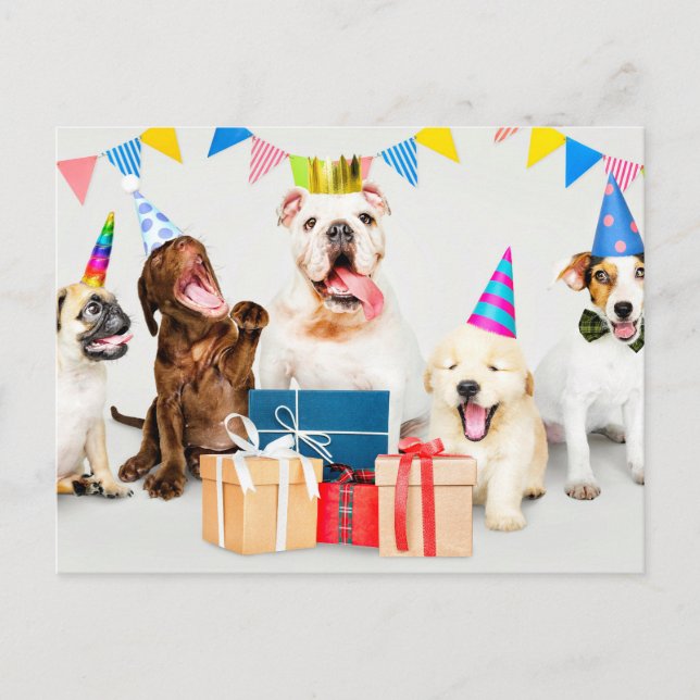 Cartão Postal Feliz Aniversário - Animais de Festa Adoráveis (Frente)