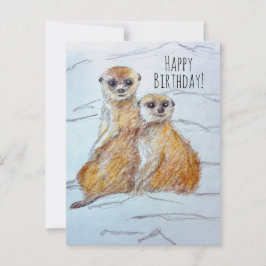 Cartão Postal Feliz Aniversário Animais Vida Selvagem Suricata