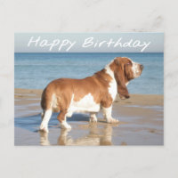 Feliz Aniversário Bassado Cachorro Cachorro Postad