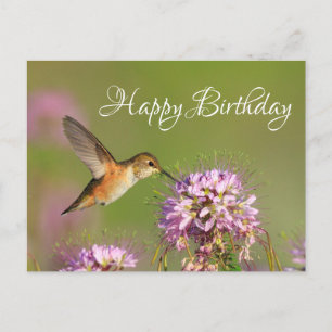 Cartão Postal Feliz Aniversário Beija-Flor
