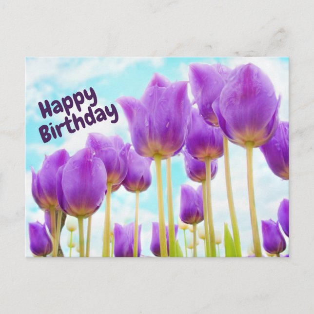 Cartão Postal Feliz Aniversário Bela Tulipas Roxas (Frente)