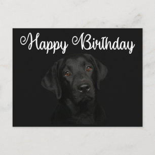 Cartão Postal Feliz aniversário Black Labrador Retriever Puppy 