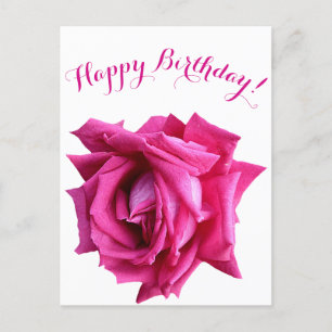 Cartão Postal Feliz aniversário, bonito, cor-de-rosa-rosa, rosa