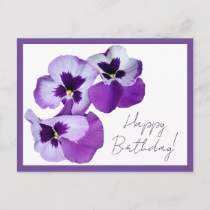 Cartão Postal Feliz aniversário bonito flores pansas roxas flora