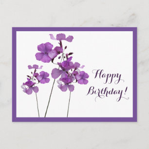 Cartão Postal Feliz aniversário bonito roxo simples floral moder