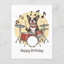 Feliz Aniversário, Boston Terrier Dog Jogando Tamb
