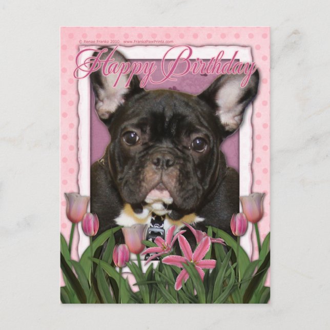 Cartão Postal Feliz Aniversário - Bulldog Francês - Teal (Frente)