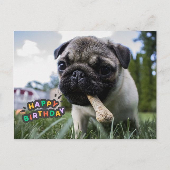 Cartão Postal Feliz Aniversário Cachorrinho Fofo com o Osso (Frente)