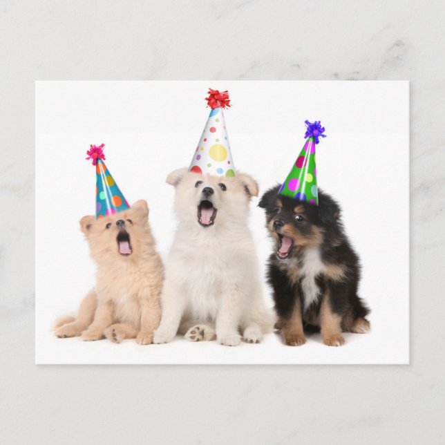 Cartão Postal Feliz aniversário cachorrinhos (Frente)