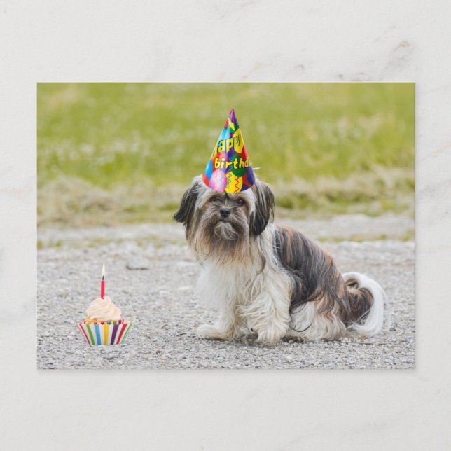Cartão Postal Feliz Aniversário Cachorro Fofo com Bolo (Frente)