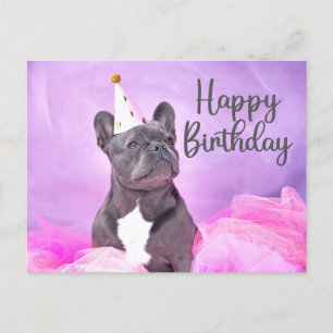 Cartão Postal Feliz Aniversário Cachorro Francês Engraçado Fofo 
