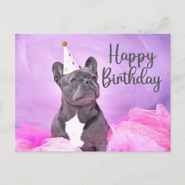 Cartão Postal Feliz Aniversário Cachorro Francês Engraçado Fofo  (Frente)