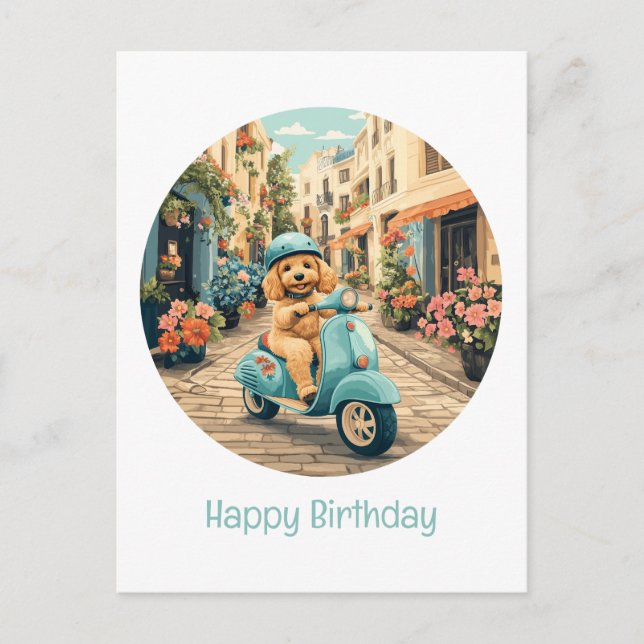 Cartão Postal Feliz Aniversário Cachorro Goldendoodle Andando de (Frente)