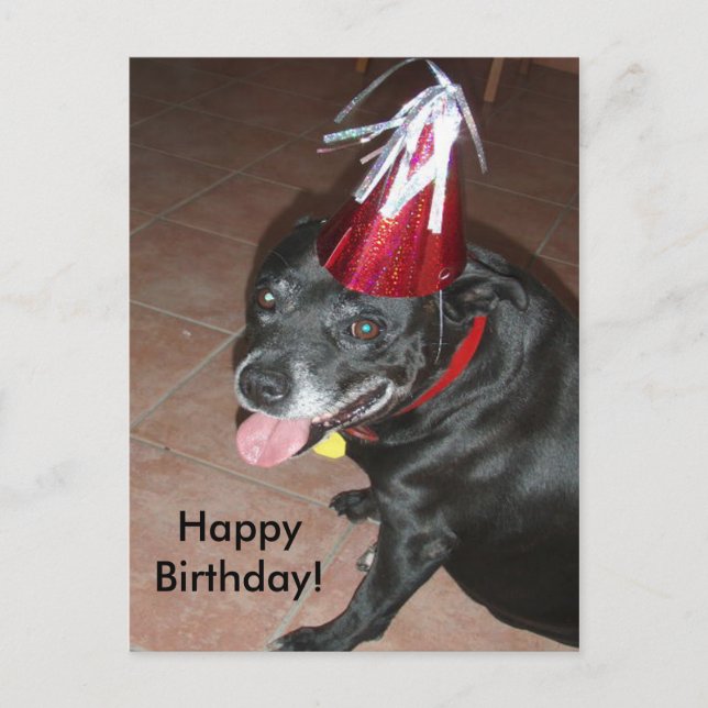 Cartão Postal Feliz aniversário, Cachorro Negro com Chapéu Verme (Frente)