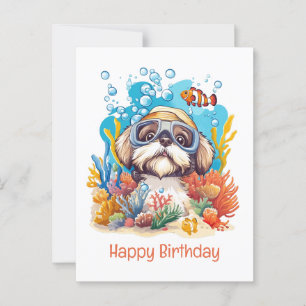 Cartão Postal Feliz Aniversário Cachorro Shih Tzu Snorkeling Rec