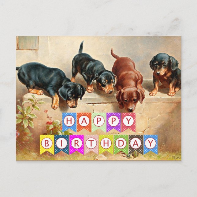 Cartão Postal Feliz aniversário, cachorros Dachshund, (Frente)
