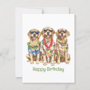 Cartão Postal Feliz Aniversário Cães Golden Retriever Havaianos