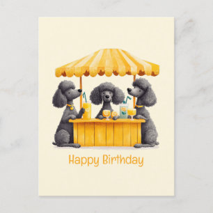Cartão Postal Feliz Aniversário Cães Poodle Padrão Loja de Limon