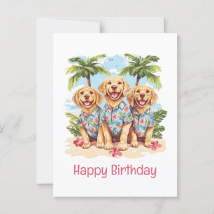 Cartão Postal Feliz Aniversário Cães Retriever Dourados Havaiano