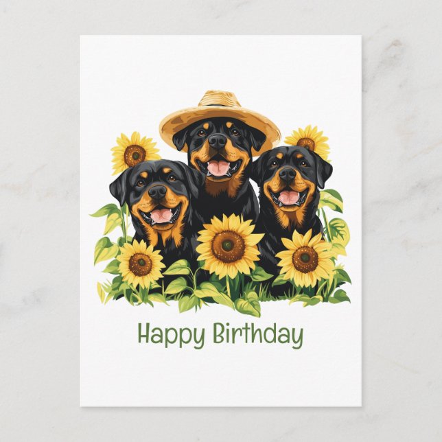 Cartão Postal Feliz Aniversário Cães Rottweiler Girassóis (Frente)