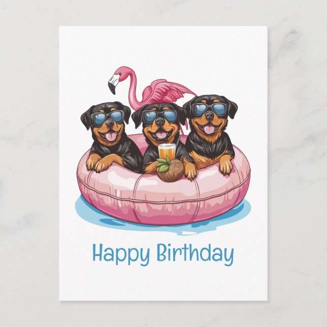 Cartão Postal Feliz Aniversário Cães Rottweiler Tubo de Piscina  (Frente)