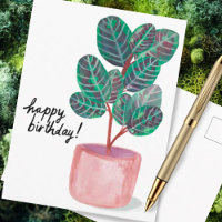 Feliz Aniversário Calathea Prayer Plant Watercolor