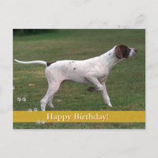 Cartão Postal Feliz aniversário! | Cão fotográfico