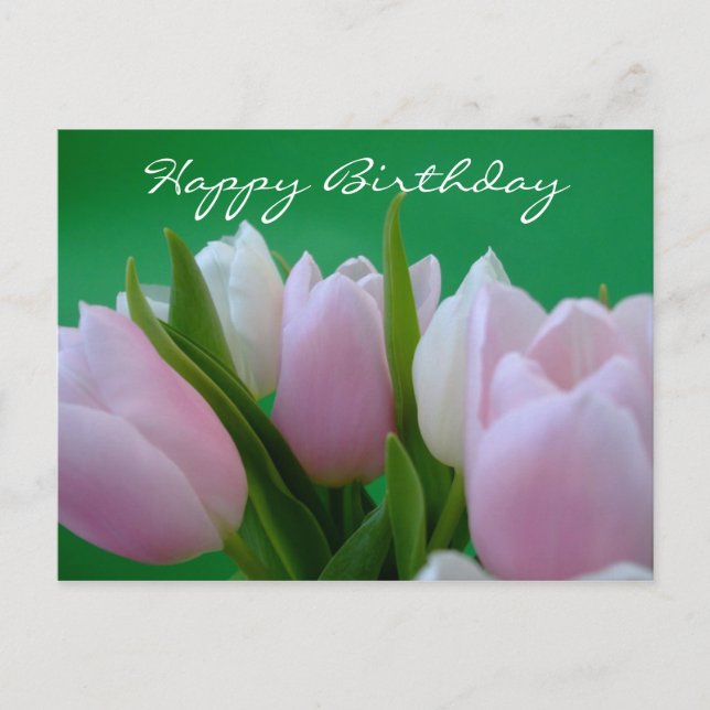 Cartão Postal Feliz Aniversário - Cartão-postal Tulips (Frente)