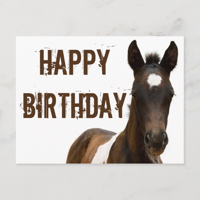 Cartão Postal Feliz Aniversário - Cavalo Colt (Frente)