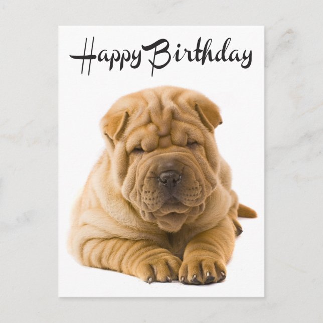 Cartão Postal Feliz Aniversário Chinês Shar Pei Puppy Dog Card (Frente)