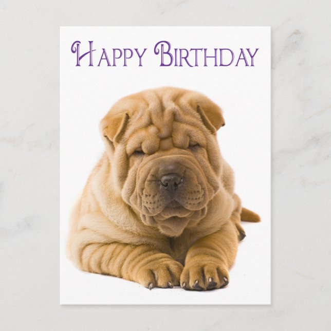 Cartão Postal Feliz Aniversário Chinês Shar Pei Puppy Dog Card (Frente)