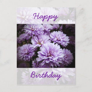 Cartão Postal Feliz aniversário - Crisântemo Roxo
