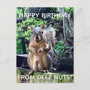 Cartão Postal Feliz Aniversário da parte de Deez Nuts Foto Engra