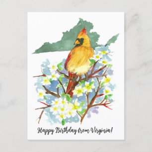 Cartão Postal Feliz Aniversário da Virginia Cardinal Dogwood