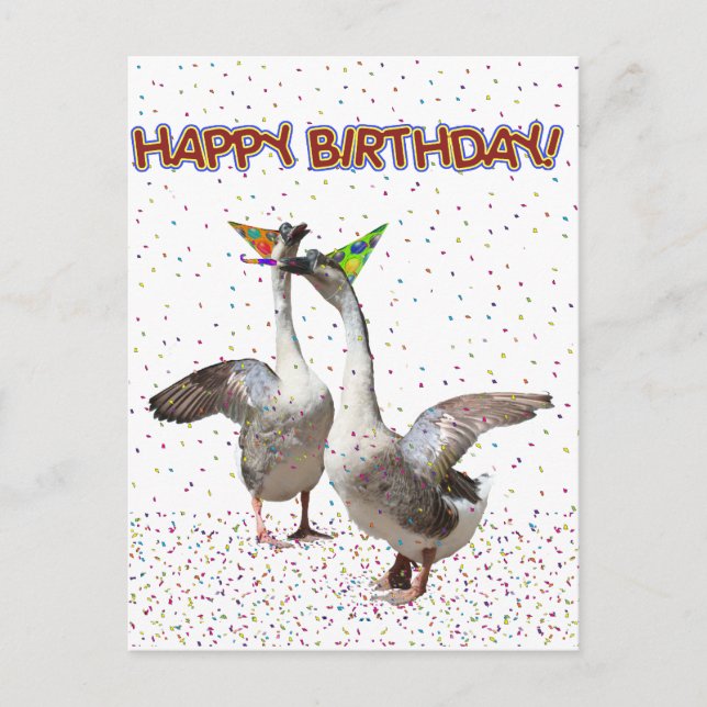 Cartão Postal Feliz Aniversário De Animais Da Festa (Frente)