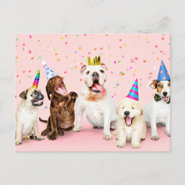 Cartão Postal Feliz Aniversário de Animais de Festa Cuja Festa (Frente)