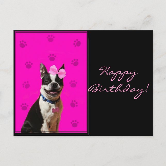 Cartão postal Feliz Aniversário de Boston Terrier (Frente)