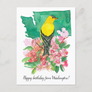 Cartão Postal Feliz Aniversário de Washington Goldfinch Flower