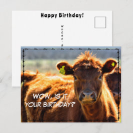 Cartão Postal Feliz Aniversário Divertido Fazenda Rural Postal H